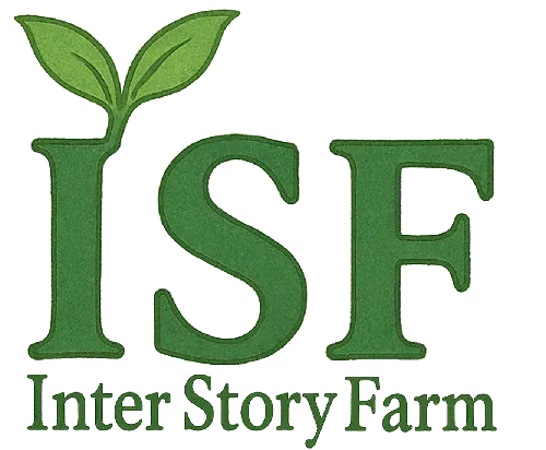 InterStoryFarm | 想いを届けるWeb制作とコンテンツ作成